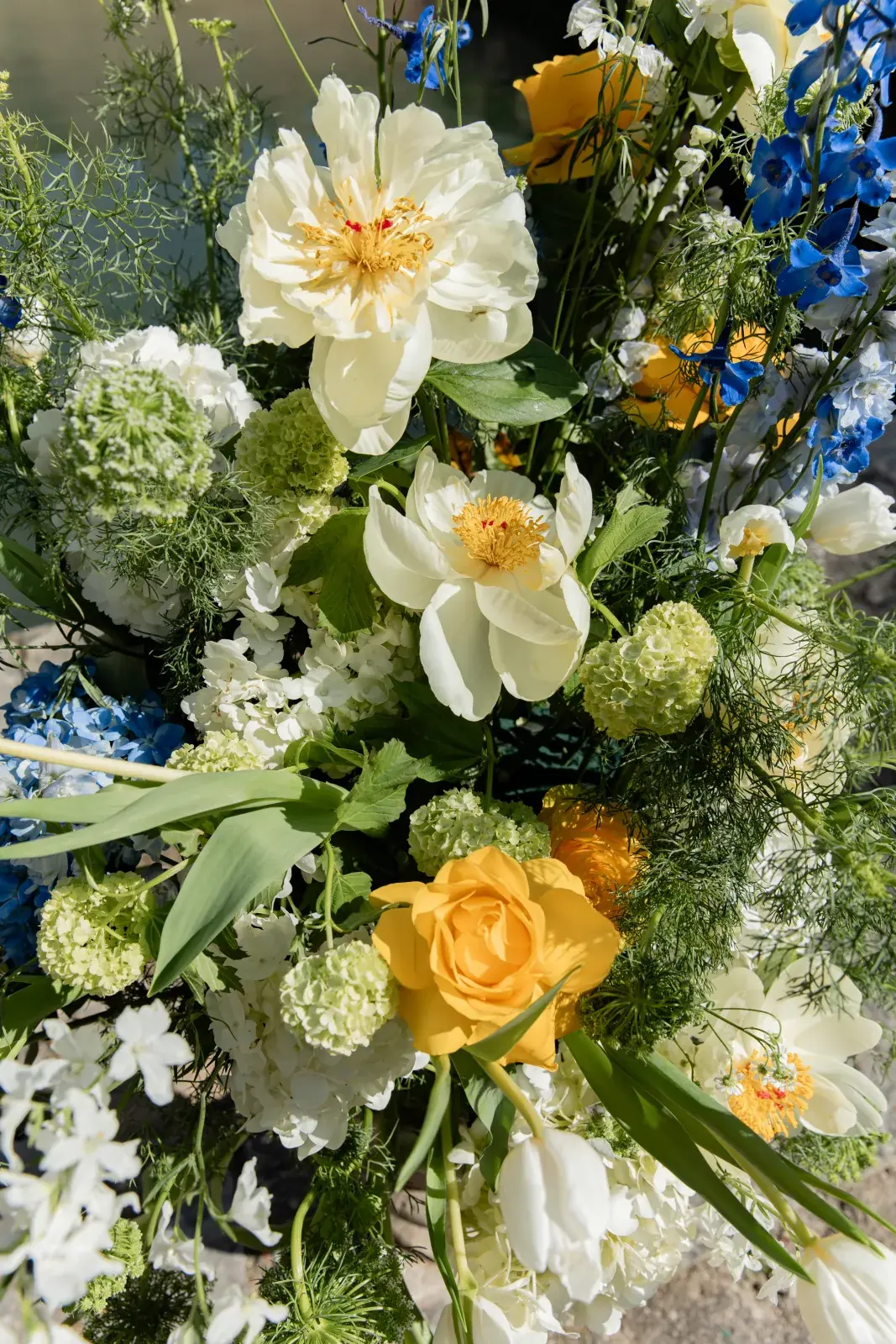 Bridal bouquet of white peonies, yellow roses and blue delphinium, loosely tied