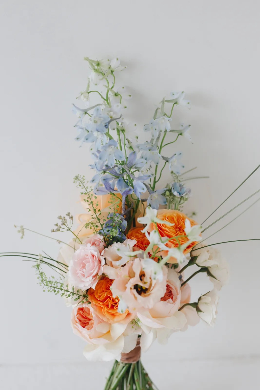 Bouquet of peach garden roses and blue delphinium held against a white wall