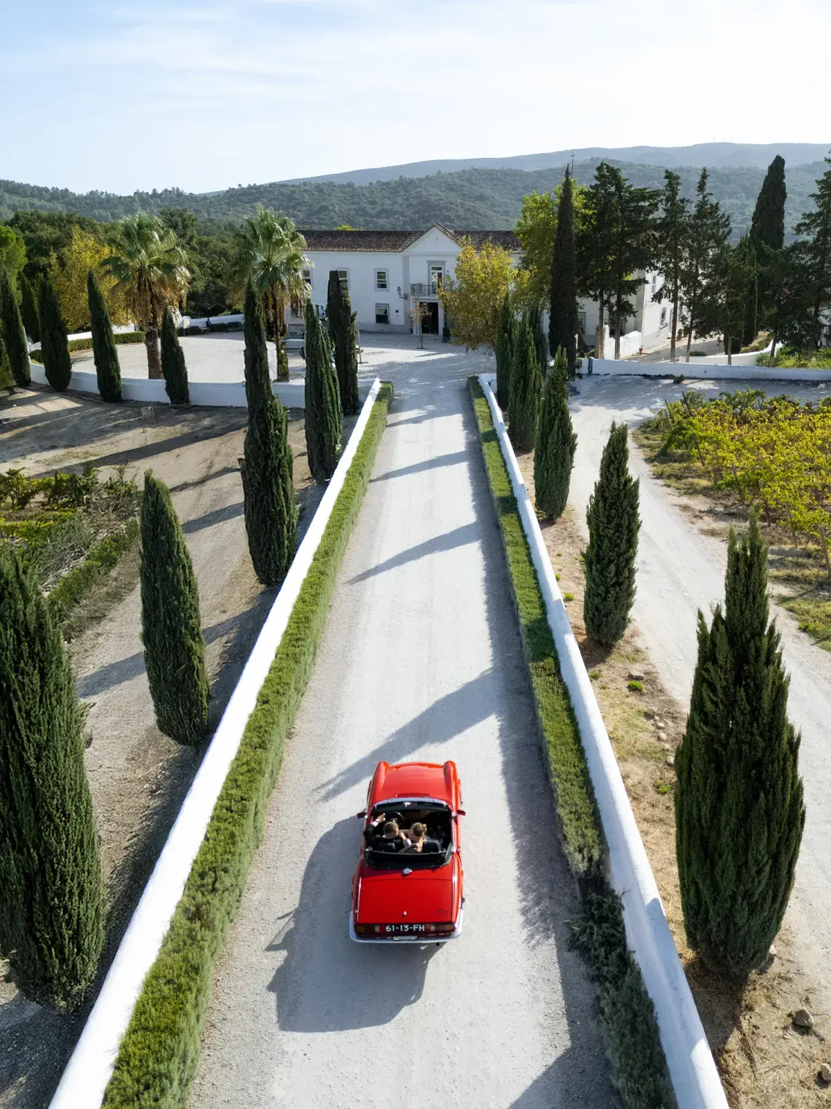 Aerial view of a cypress-lined drive leading the red cabriolet toward the whitewashed estate house
