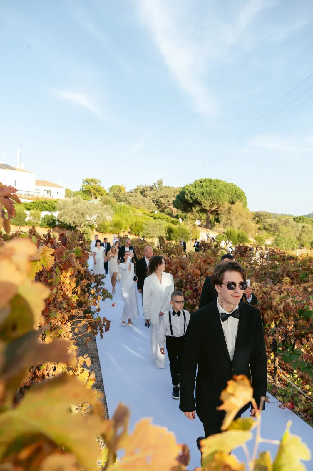 Wedding party walking a white aisle through autumn-coloured vines under a wide sky