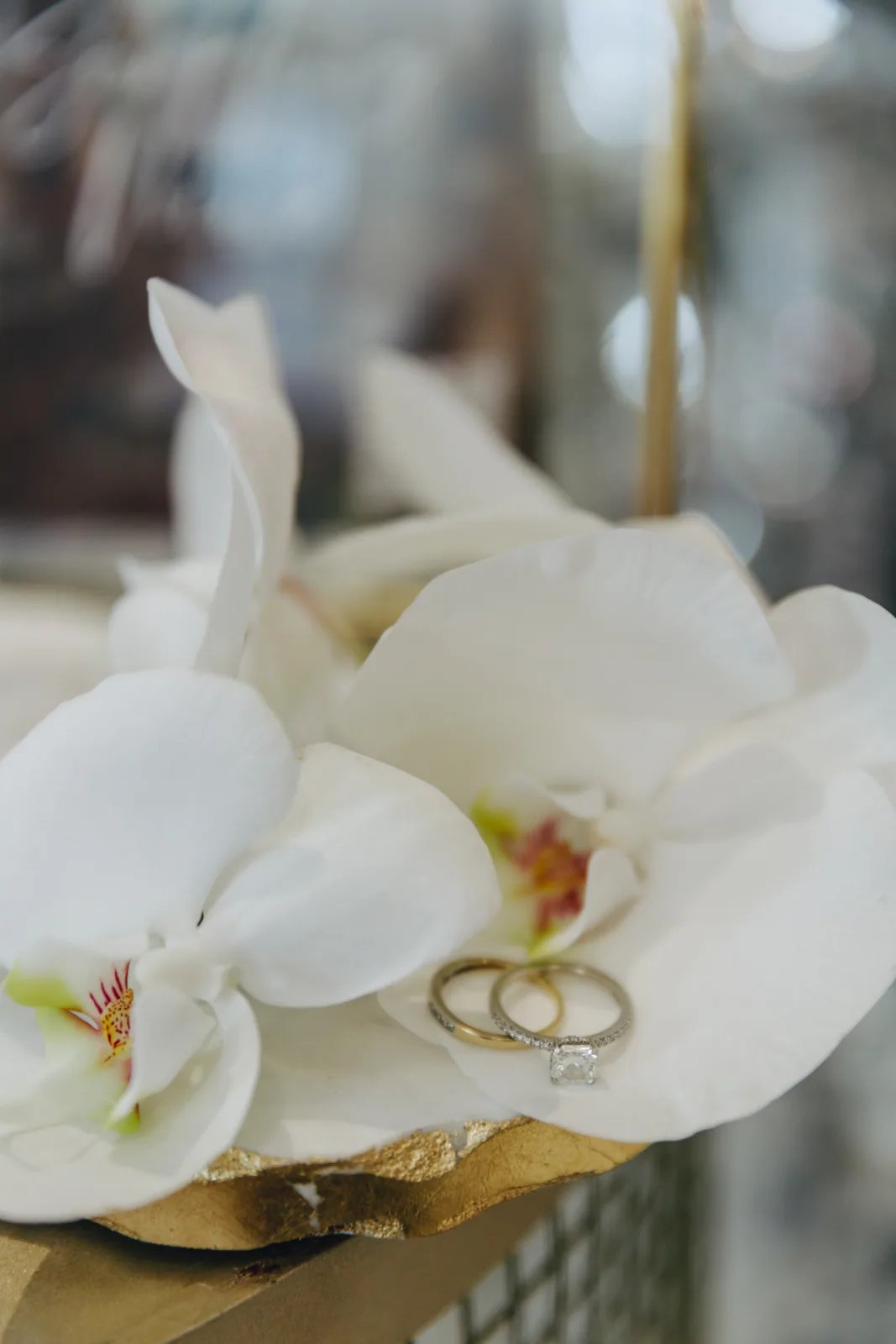 Wedding bands and engagement ring resting on white phalaenopsis orchids