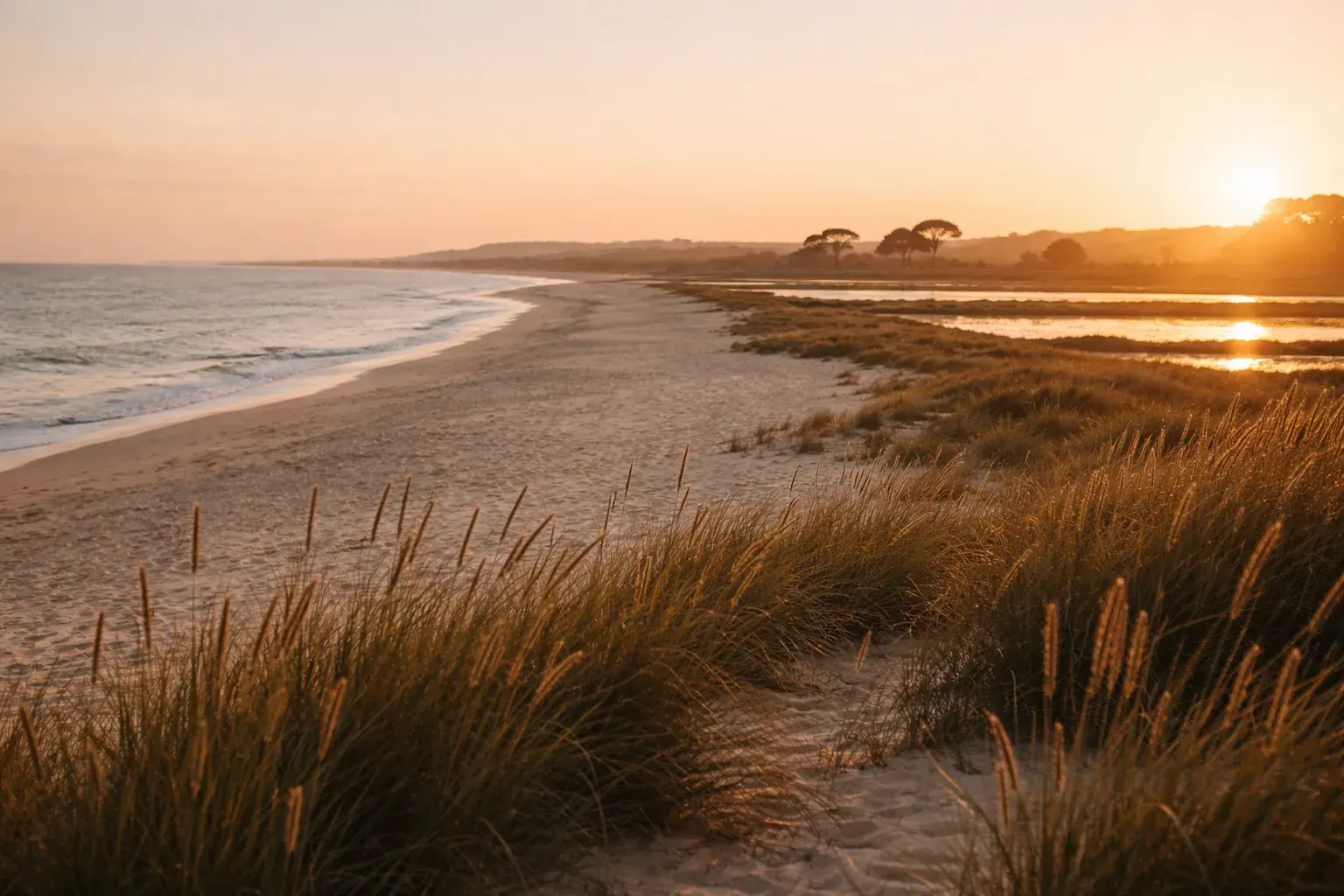 Comporta beach at golden hour — dune grass, wide sand, umbrella pines