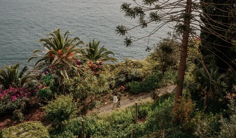 Jardins subtropicais sobre a falésia e o Atlântico no Funchal, Madeira