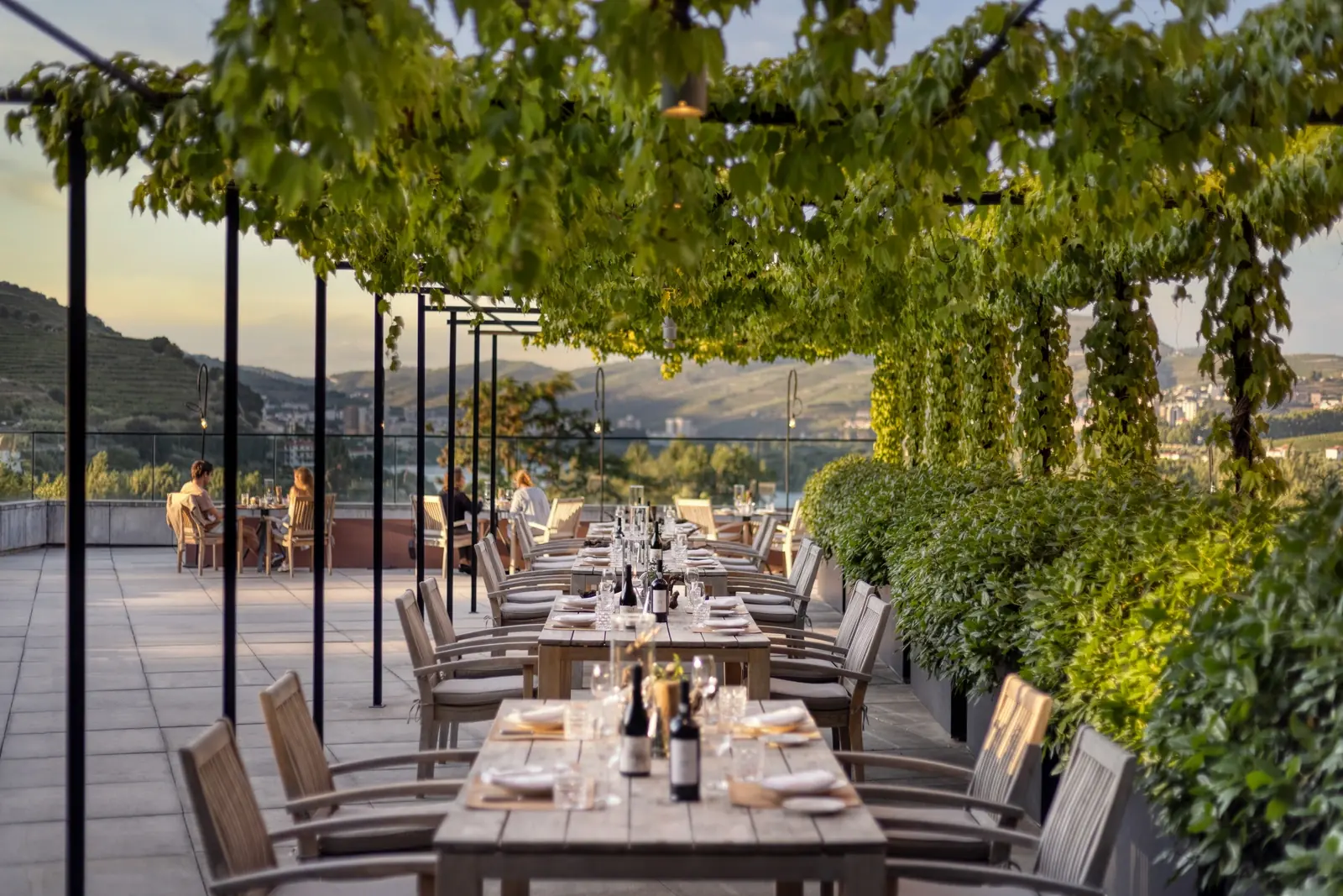 Wine Library terrace overlooking the vineyards at Six Senses Douro Valley, UNESCO Douro